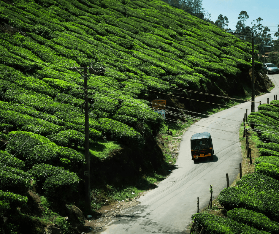 Vagamon